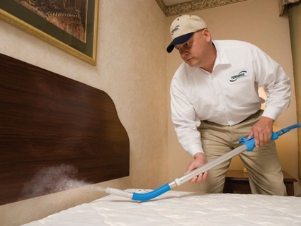 BUY BEDBUGS PEST CONTROL SERVICE IN QATAR | HOME DELIVERY WITH COD ON ALL ORDERS ALL OVER QATAR FROM GETIT.QA